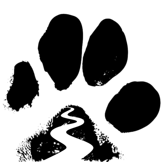Rockys logo footprint