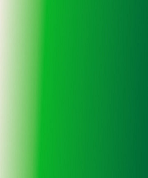 Left Logo