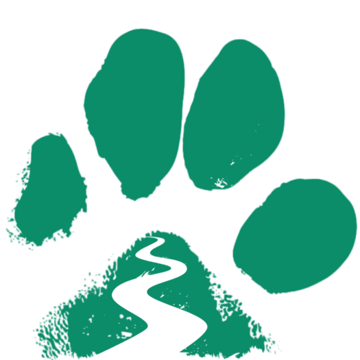My Logo