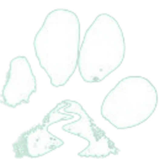 My Logo